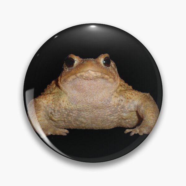 Item preview, Bufo Bufo European Toad Close Up Photo Portrait designed and sold by taiche.