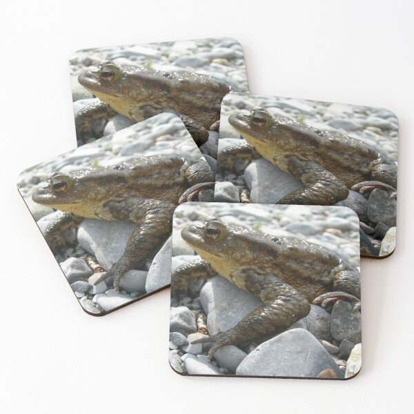 Item preview, Bufo Bufo Toad Lounging On Stones Close Up Photograph designed and sold by taiche.