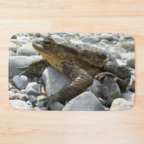 Item preview, Bufo Bufo Toad Lounging On Stones Close Up Photograph designed and sold by taiche.