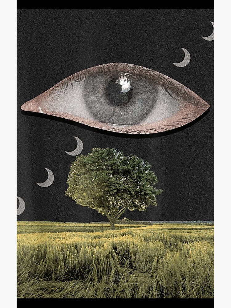 Weirdcore Aesthetic Dreamcore Oddcore Eye And Crescent Moons Photographic  Print for Sale by ShanteWoodley