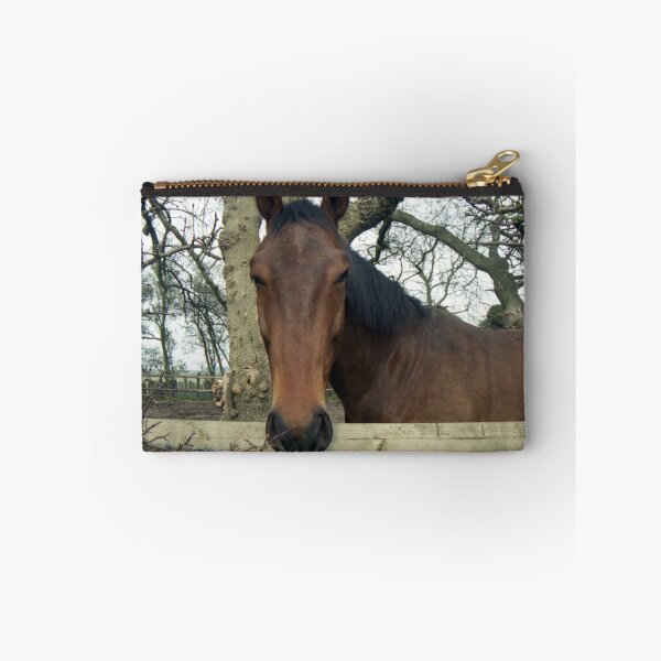 Artikelvorschau, "Why the long Face" entworfen und verkauft von Michael Haslam.
