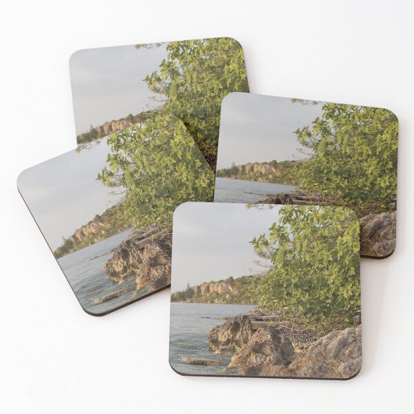 Item preview, gorgeous fig designed and sold by distracted.