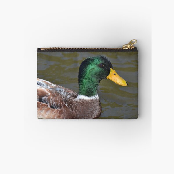 Artikelvorschau, Male Mallard Duck entworfen und verkauft von TheaShutterbug.