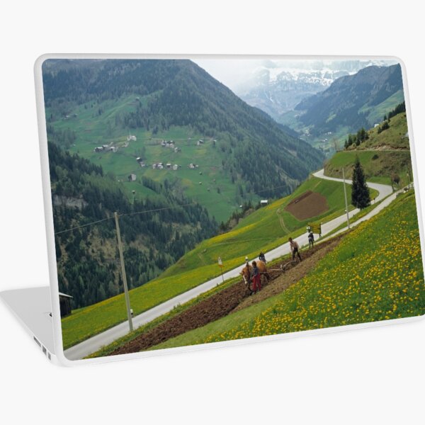 Aperçu de l'œuvre Vallée des Dolomites, Italie, années 80 créée et vendue par David A. L. Davies.