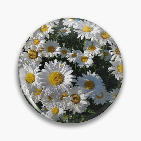 Item preview, White Shasta Daisies designed and sold by soulestial.
