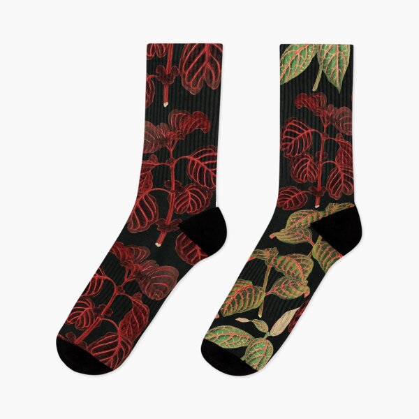 Item preview, Urban jungle iresine house plant night pattern cottagecore aesthetic designed and sold by PG Illustration.