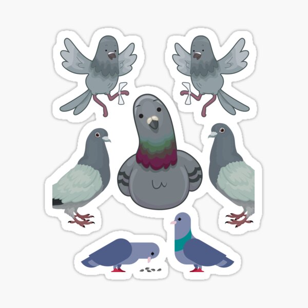 Funky Little Pigeon Sticker for Sale by sillysellsstuff