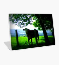 Behind the Fence Laptop Skin