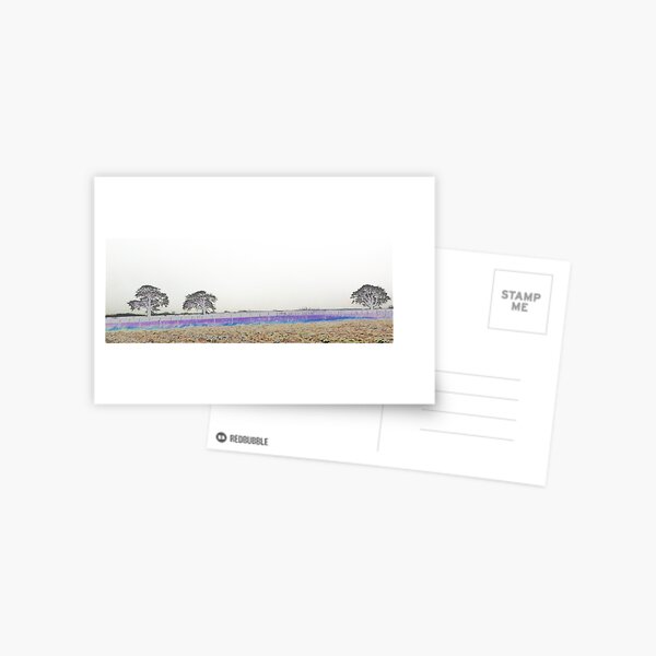 www.lizgarnett.com - Coldblow Trees, Kent Downs, Maidstone, Kent Postcard