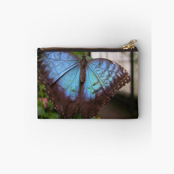 Item preview, Blue Butterfly designed and sold by KUJO-Photo.