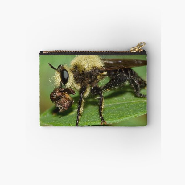 Item preview, Robber Fly with Lunch designed and sold by WorldDesign.