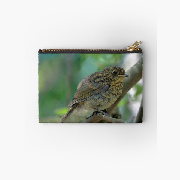 Item preview, Juvenile Robin designed and sold by larry flewers.