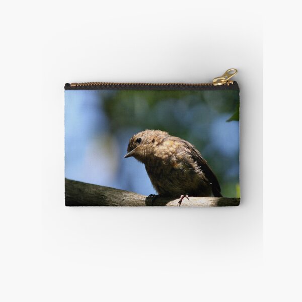 Item preview, Juvenile Robin (2) designed and sold by larry flewers.