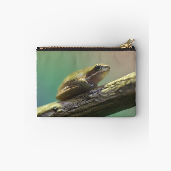 Item preview, Frog's Eye designed and sold by diggle.