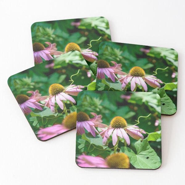 Item preview, Echinacea  designed and sold by Frits Klijn (klijnfoto.nl).