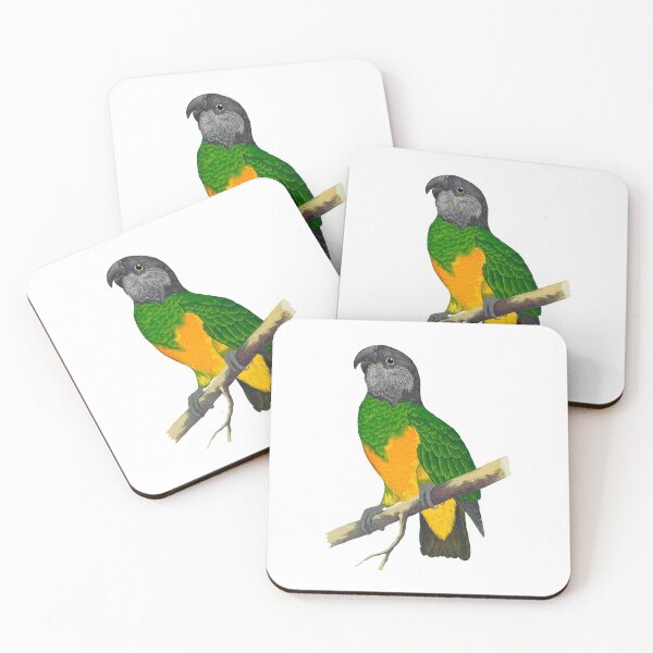Item preview, Colorful Senegal Parrot Art designed and sold by shi-RLY.