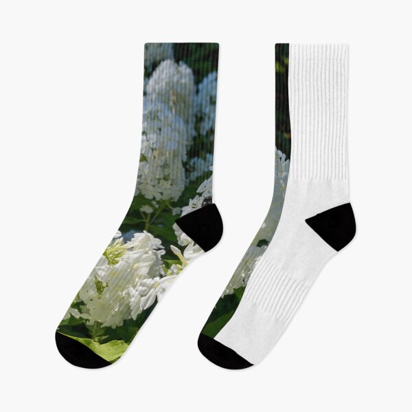 Item preview, Phlox designed and sold by Frits Klijn (klijnfoto.nl).
