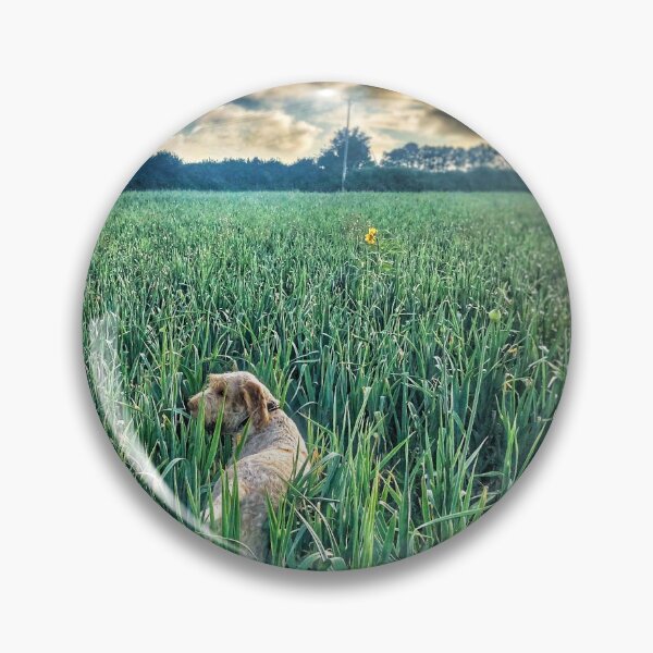 Artikelvorschau, Spinone erkunden entworfen und verkauft von guestd80.