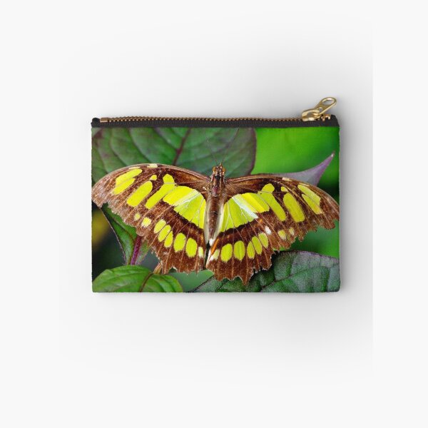 Item preview, Scarce bamboo page designed and sold by supergold.