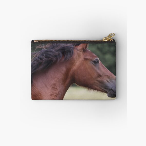 Artikelvorschau, Welsh Cob entworfen und verkauft von blueinfinity.