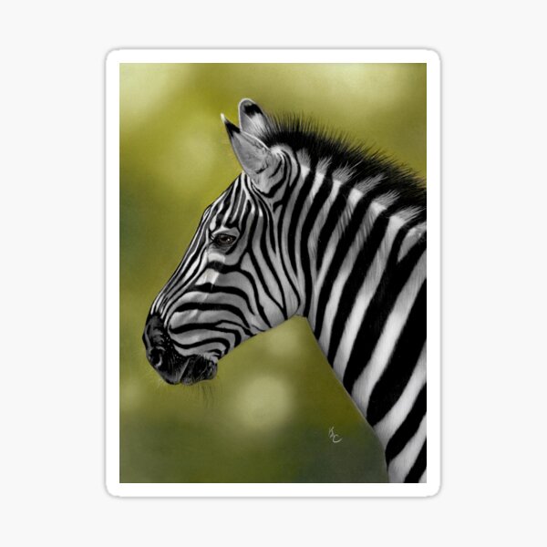 Zebra African Wildlife Sticker
