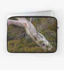 Eucalyptus Laptop Sleeve