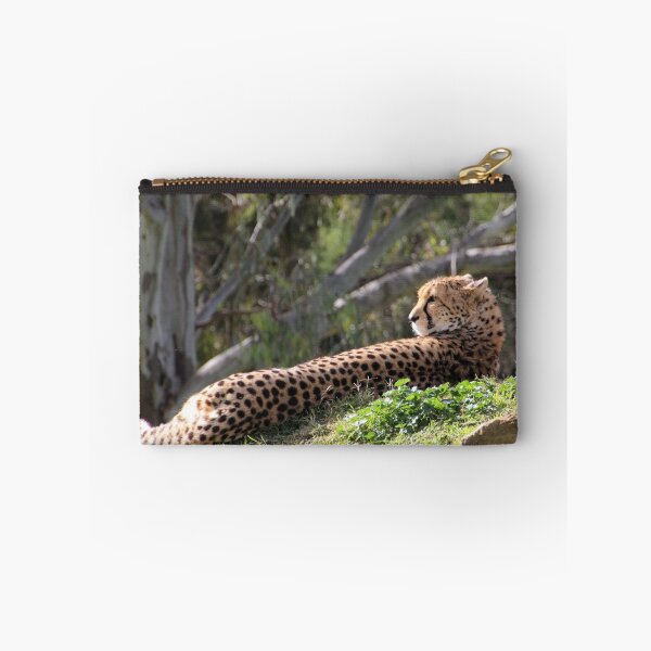 Item preview, CATCHING SOME RAYS... designed and sold by Helen Akerstrom Photography.