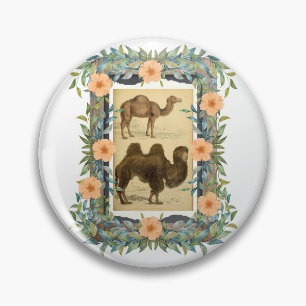 Item preview, Zoological board "Camels". designed and sold by AdvanceDesign.