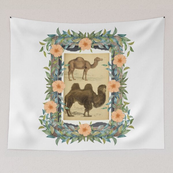 Item preview, Zoological board "Camels". designed and sold by AdvanceDesign.