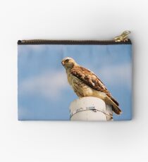 Red Tailed Hawk Studio Pouch