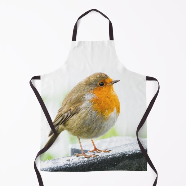 Item preview, Winter Robin designed and sold by Jane Stanley Photography.