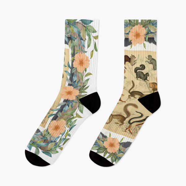 Item preview, Zoological board "Squirrels". designed and sold by AdvanceDesign.