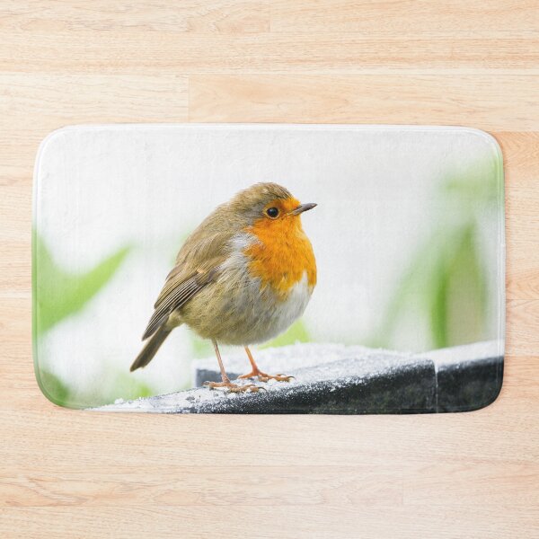 Artikelvorschau, Winter Robin entworfen und verkauft von Jane Stanley Photography.