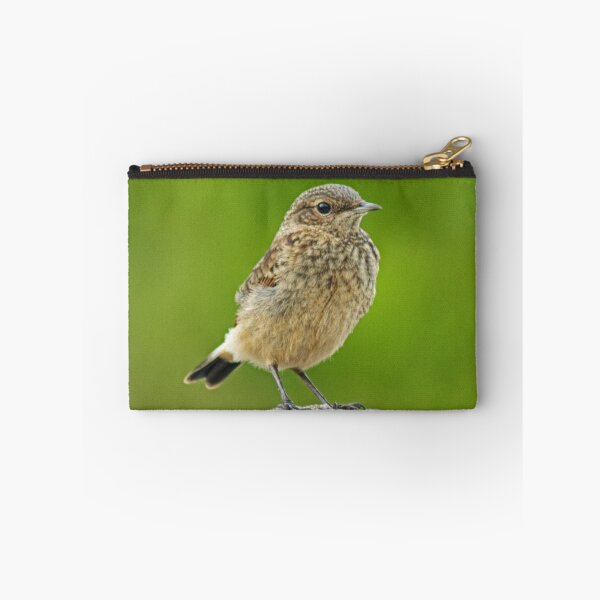 Item preview, Juvenile Wheatear designed and sold by Jamie  Green.