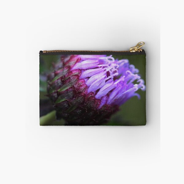 Item preview, Centratherum riparium designed and sold by andrachne.