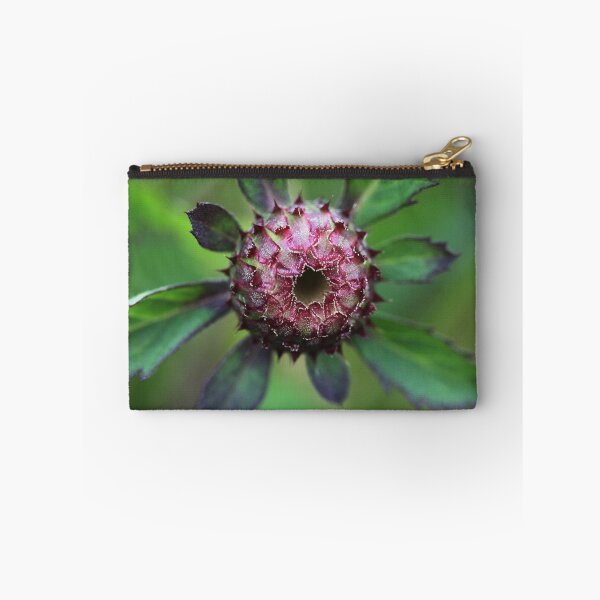Item preview, Centratherum riparium designed and sold by andrachne.