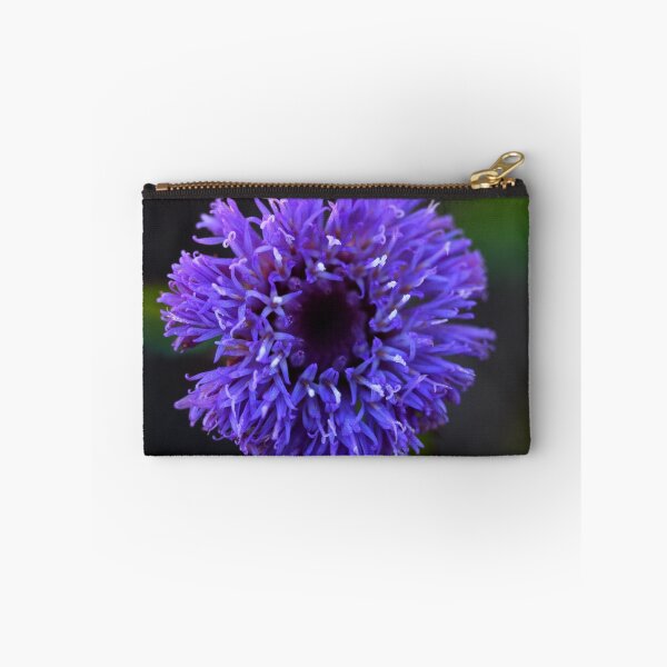 Item preview, Centratherum riparium designed and sold by andrachne.