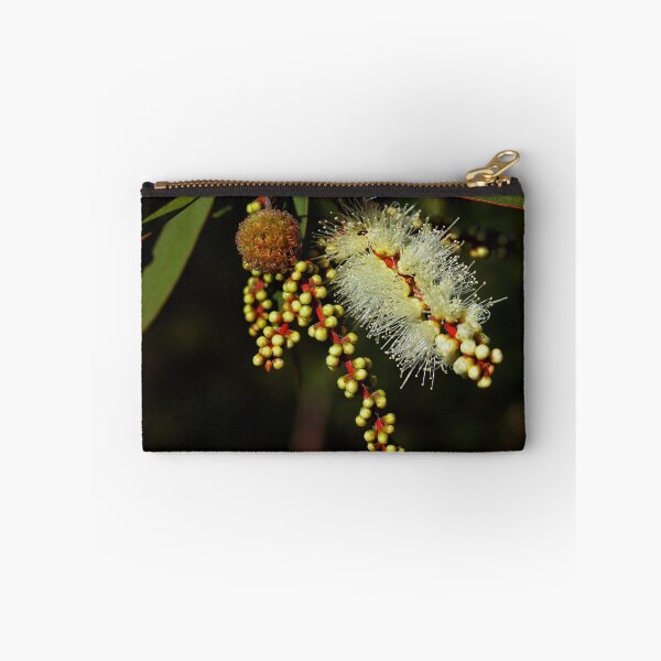 Item preview, Melaleuca quinquenervia designed and sold by andrachne.