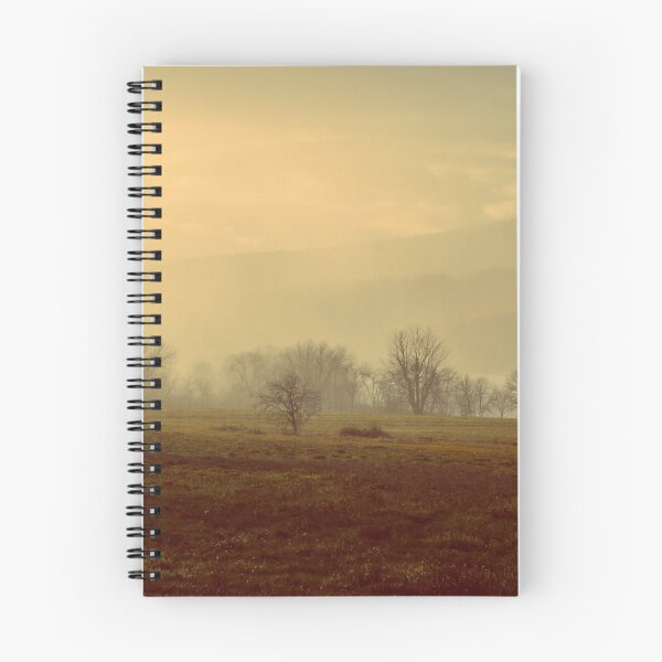 Item preview, Afternoon Light in November designed and sold by Kathleen Daley.