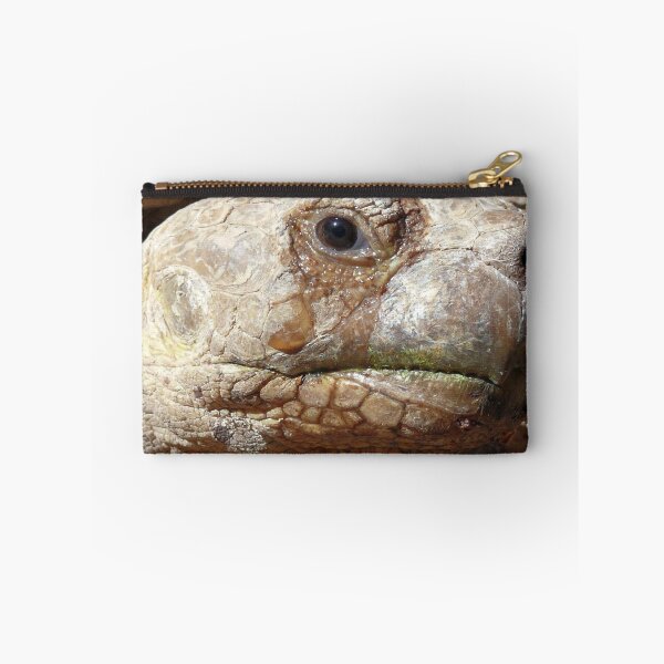 Item preview, Aldabra Giant Tortoise designed and sold by Carla Jensen.