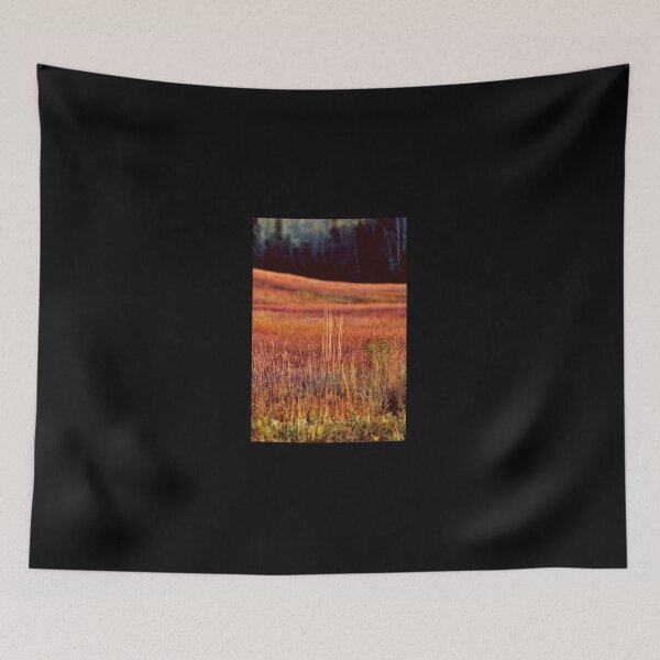 Item preview, Afternoon Light in November II designed and sold by Kathleen Daley.
