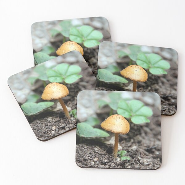 Item preview, All By Myself designed and sold by heatherfriedman.