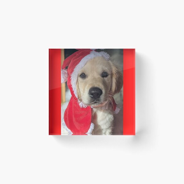 Artikelvorschau, Golden Retriever Welpe Weihnachtsmann entworfen und verkauft von Fluffycat2020.