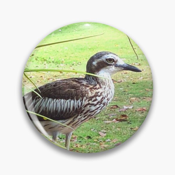 Item preview, Curlew under the shade of a gum tree. designed and sold by TeeRayBee.
