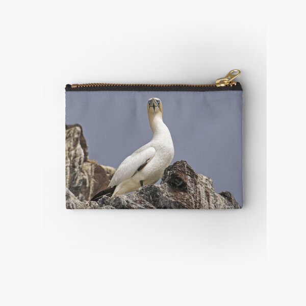 Item preview, Gannet  (Sula Bassana) designed and sold by ten2eight.