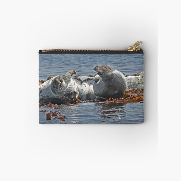 Item preview, Atlantic Grey Seals designed and sold by ten2eight.