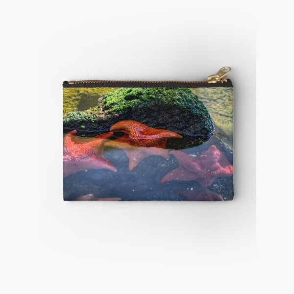 Item preview, Starfish designed and sold by J. S. Wolf Photography.