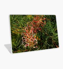 Grevillea annulifera Laptop Skin