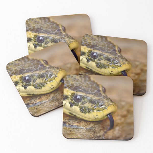 Item preview, Anaconda head designed and sold by Kiran-Fine-Art.