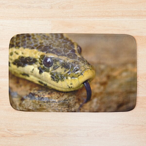 Item preview, Anaconda head designed and sold by Kiran-Fine-Art.